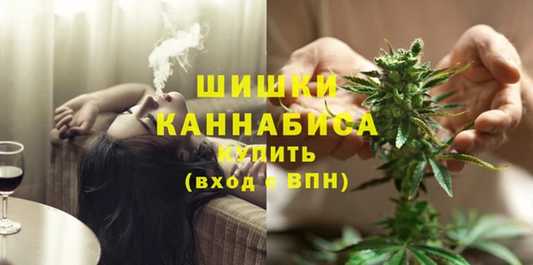PSILOCYBIN Горняк