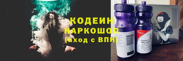 PSILOCYBIN Горняк