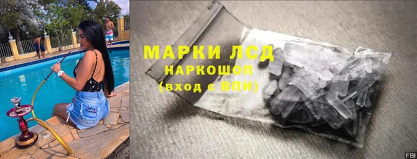 PSILOCYBIN Горняк